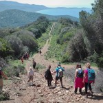 Trekking Toscana Sensi in Cammino