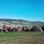 Trekking Toscana Sensi in Cammino